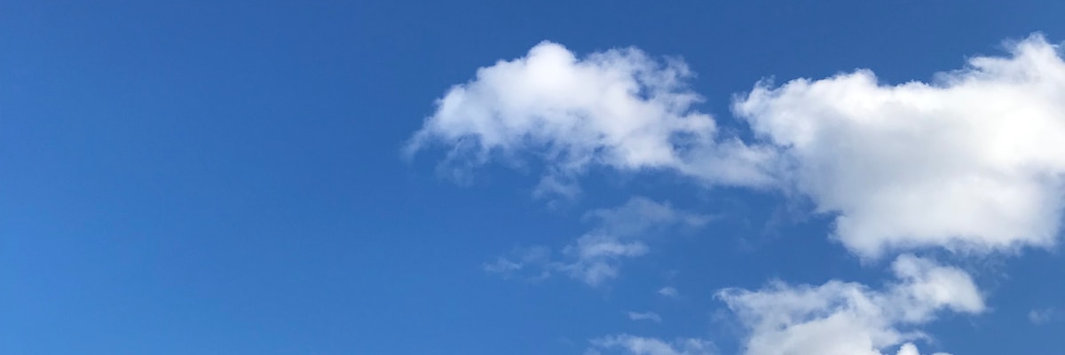 The Simpsons - Springfield Events